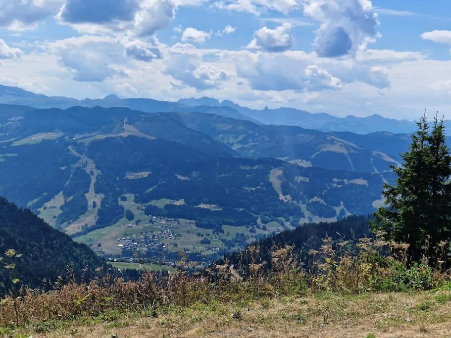 Appartement La Duchere Le Plan-La Giettaz Massif Des Aravis Luaran gambar