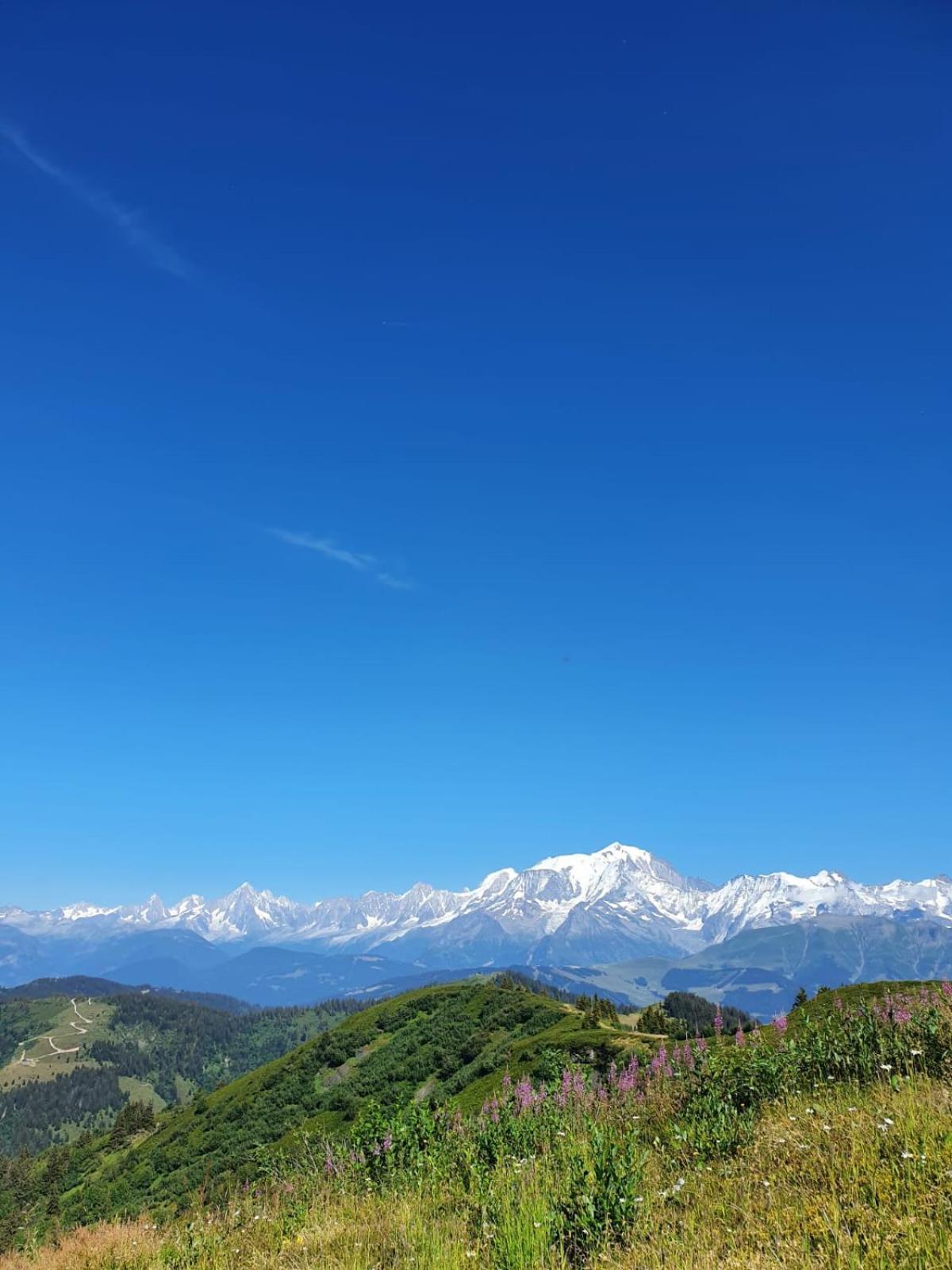 Appartement La Duchere Le Plan-La Giettaz Massif Des Aravis Luaran gambar