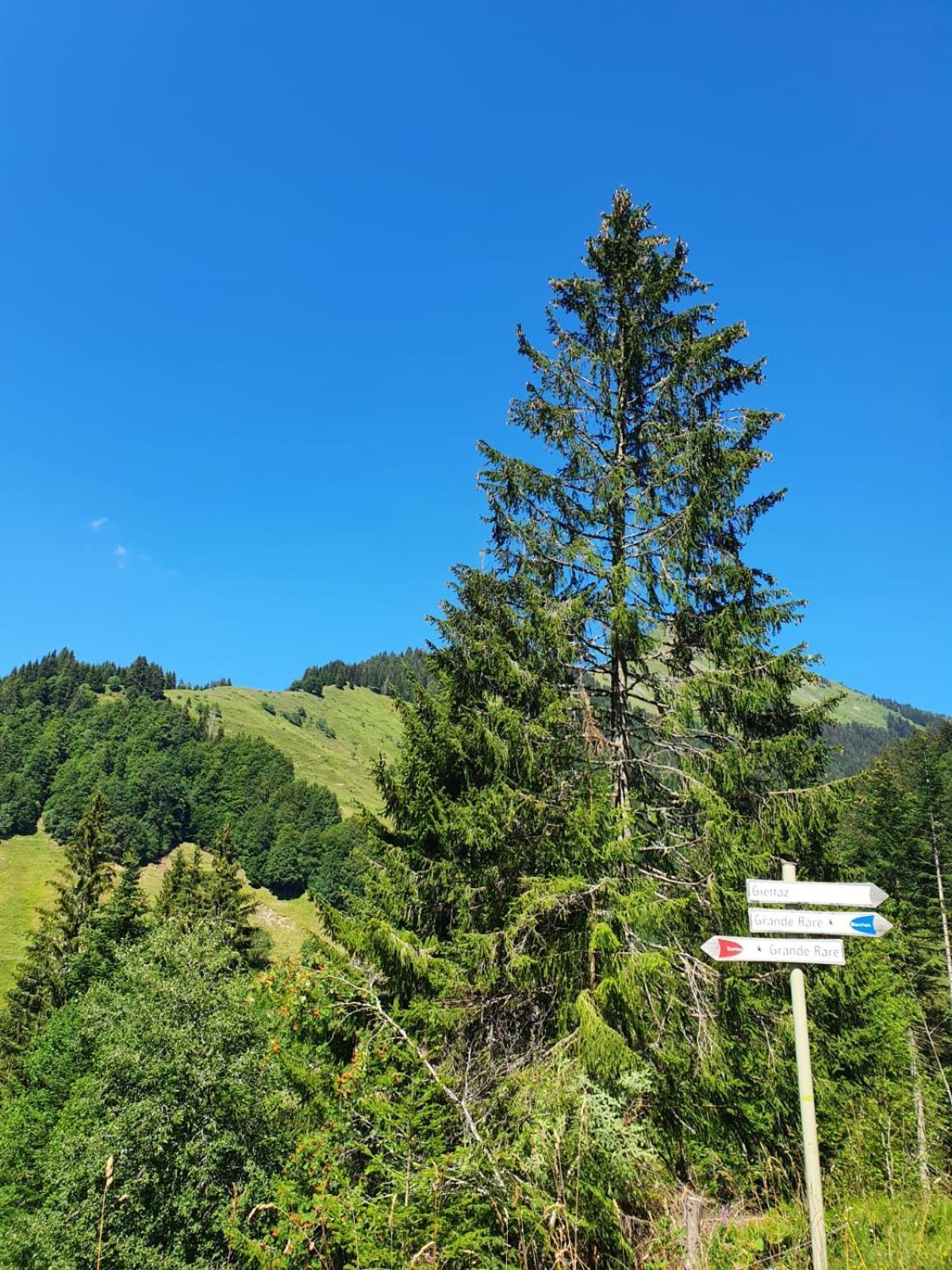 Appartement La Duchere Le Plan-La Giettaz Massif Des Aravis Luaran gambar