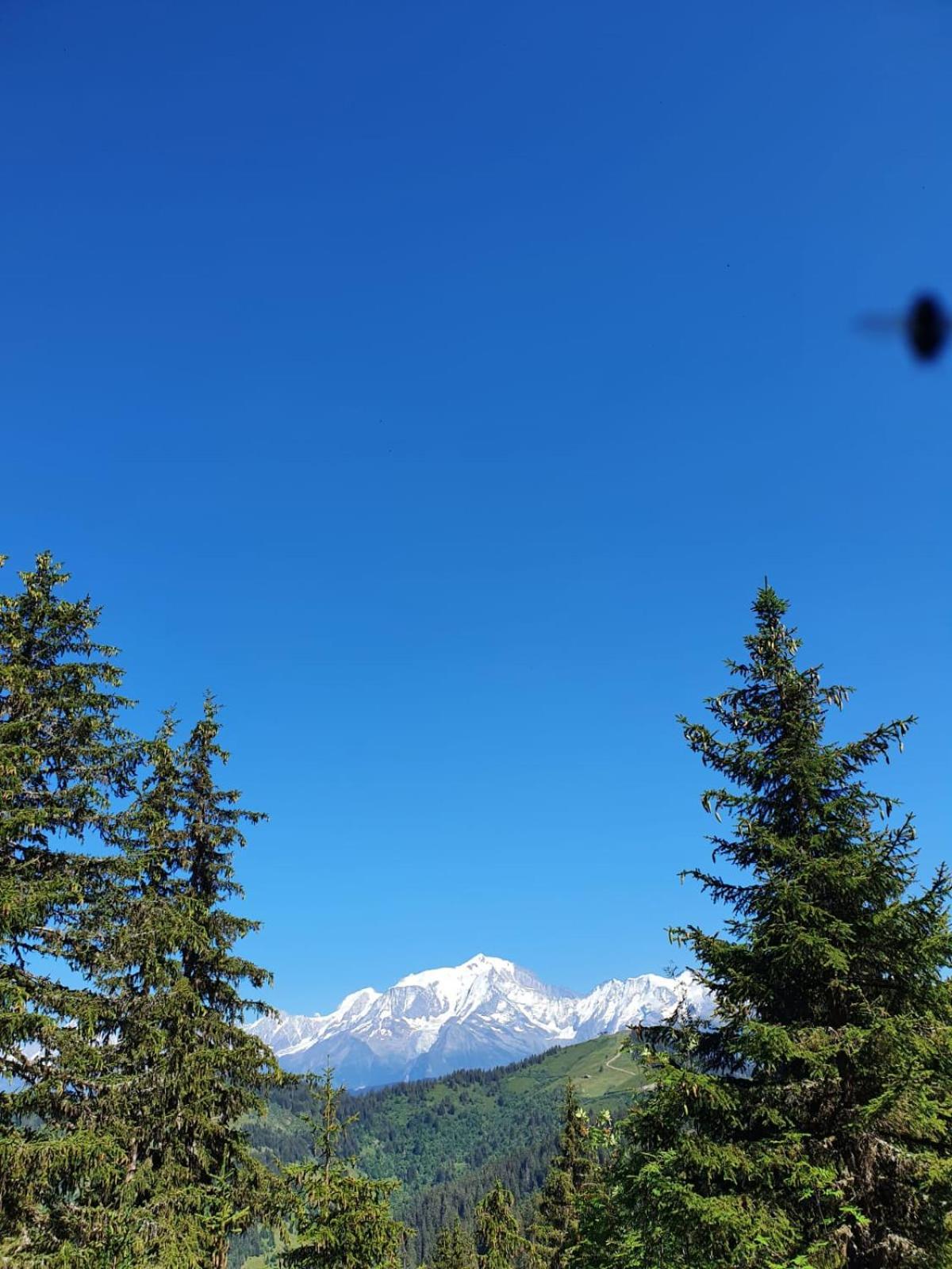 Appartement La Duchere Le Plan-La Giettaz Massif Des Aravis Luaran gambar